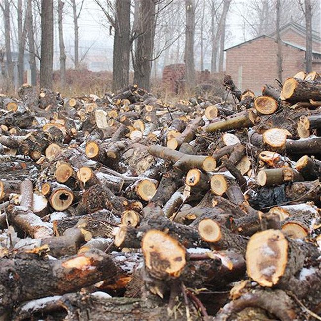Wood Shredder